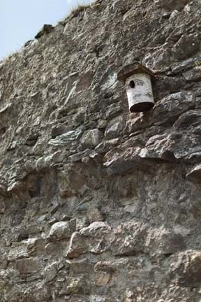 Kilwhimen fort wall - bird house