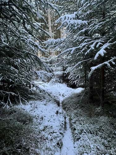 Snow trail Scottish Highlands