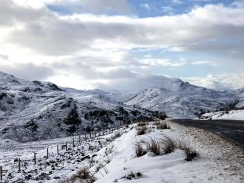 Snowy landscape