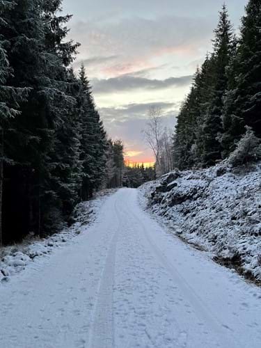 Snow trail Scottish Highlands